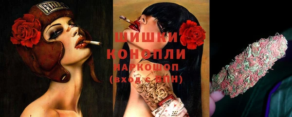 стаф Краснотурьинск
