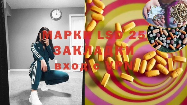 ПСИЛОЦИБИНОВЫЕ ГРИБЫ Краснослободск